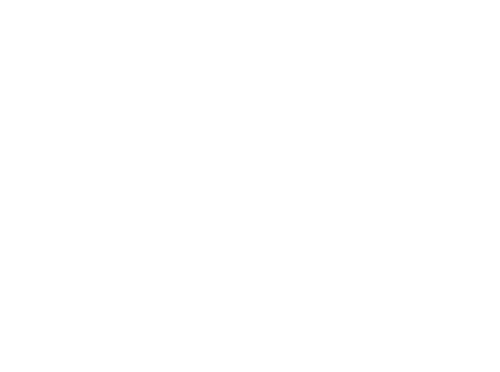 Solit-Logo